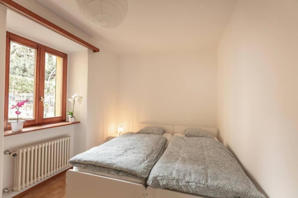 Minusio Casa Al Sole - Bellissimo Appartamento Con Terrazza E Vista Lago מראה חיצוני תמונה